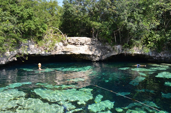 Visiting Cenotes in Riviera Maya