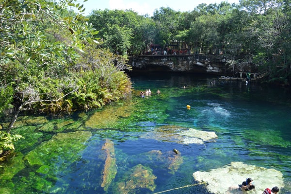 What are the Admission Fees for the Cenotes in Riviera Maya