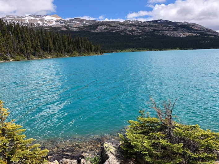 Why Bow Lake and other alpine lakes are so blue