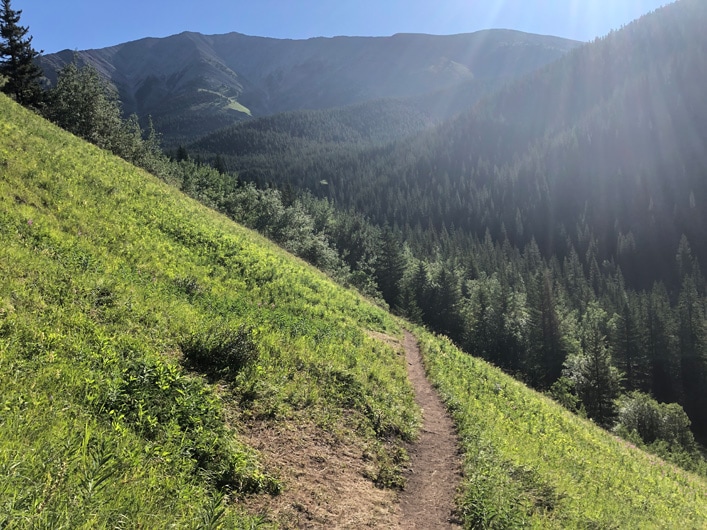 Hiking Picklejar Lakes alpine meadows