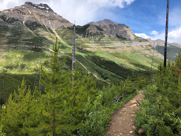 How Hard is Stanley Glacier Hike