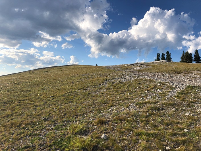 beautiful alpine meadow with a 360-degree view of Kananaskis 