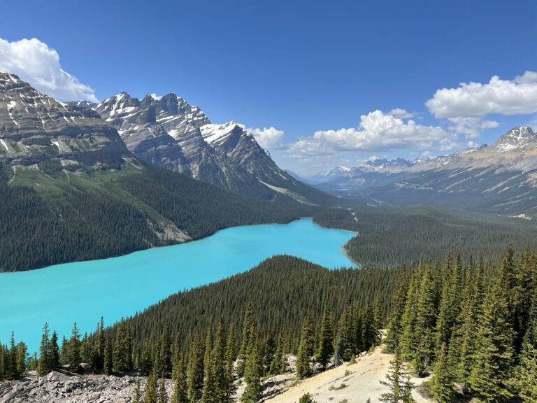 Is Peyto Lake Worth the Drive From Calgary?