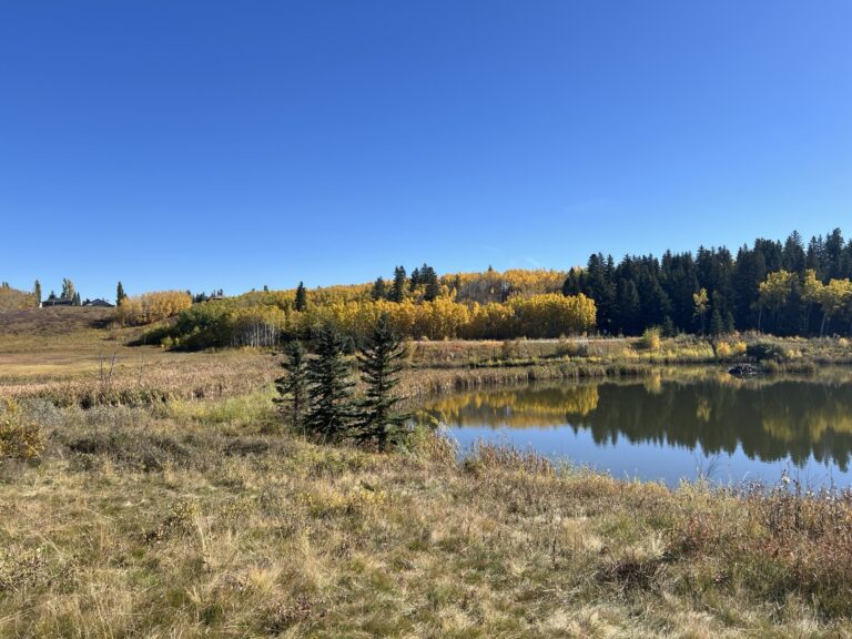 Easy Hikes Near Calgary That Don’t Require Climbing a Mountain